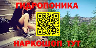 спиды Бузулук