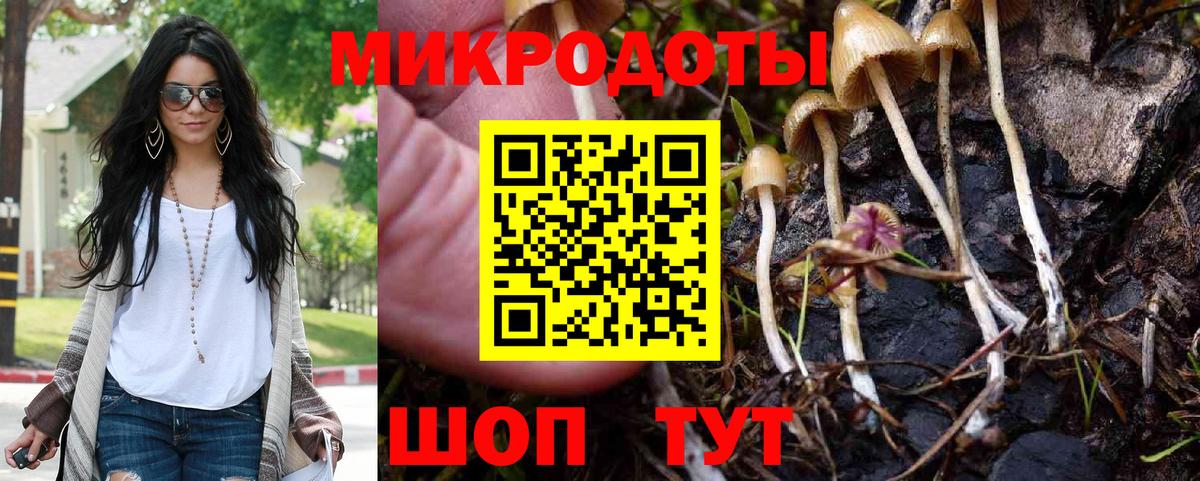 Строитель  Псилоцибиновые грибы ЛСД  Вход с VPN 
